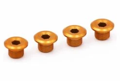 Vis Pour Plateau Rennen Regular Or (x4)