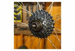 Démonte Roue Libre Multi-Vitesse Pedro's 12-Spline X 23 Mm 11 Démonte Roue Libre Multi-Vitesse Pedro's 12-Spline X 23 Mm -Entretien Réparation Route Soldes unnamed file 3646