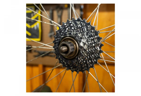 Démonte Roue Libre Multi-Vitesse Pedro's 12-Spline X 23 Mm 6 Démonte Roue Libre Multi-Vitesse Pedro's 12-Spline X 23 Mm – Image 4