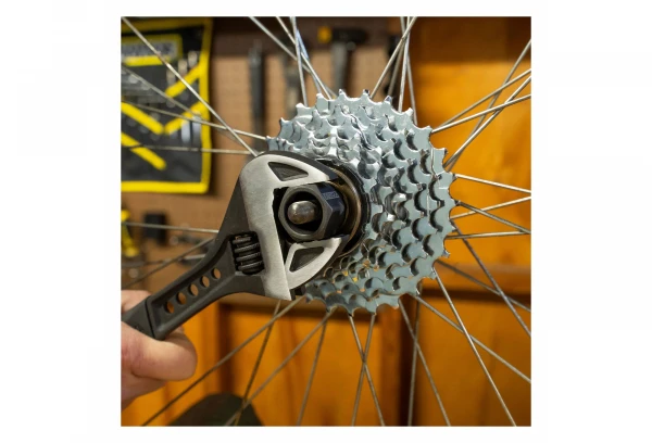 Démonte Roue Libre Multi-Vitesse Pedro's 12-Spline X 23 Mm 7 Démonte Roue Libre Multi-Vitesse Pedro's 12-Spline X 23 Mm – Image 5